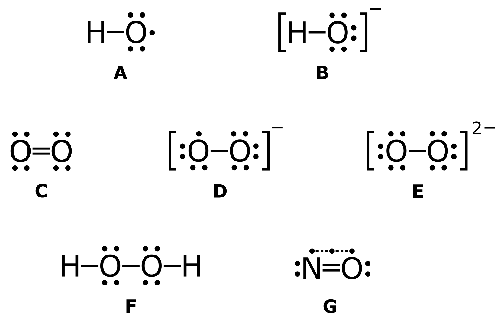 IMG_8861.png